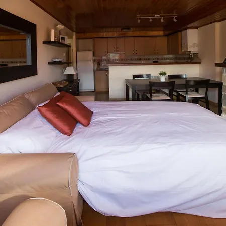 Stone Cove, Garage, Guardaesquis Y Wifi Appartement Formigal